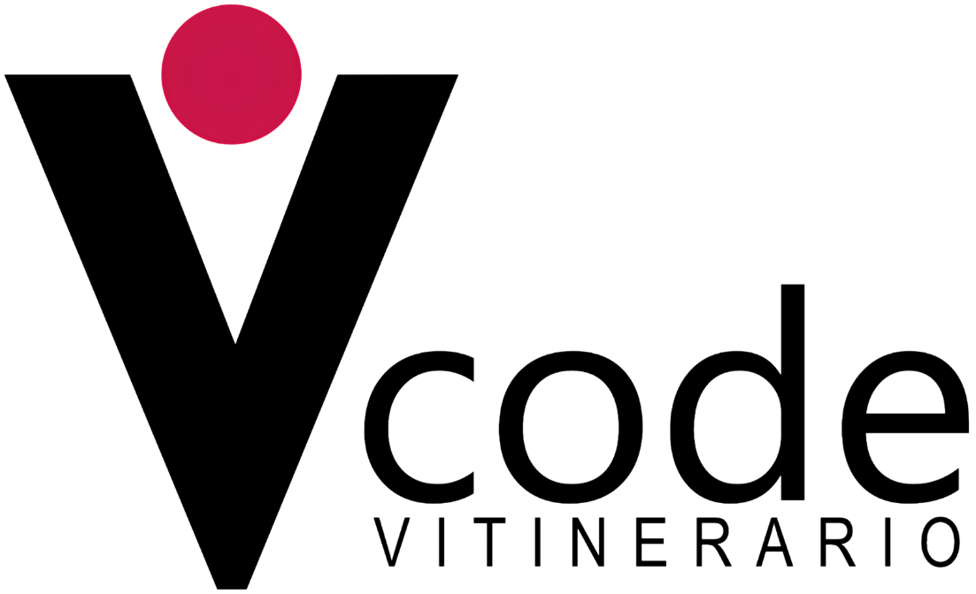 Vitinerario Code